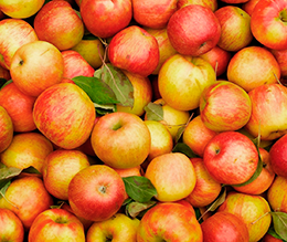 Как сохранить яблоки максимально долго