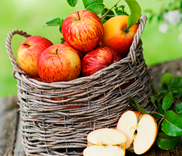 Как выбирать саженцы яблони