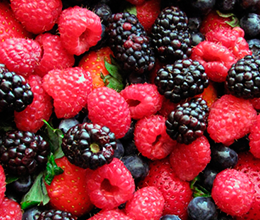 Лекарственные свойства некоторых ягод и фруктов
